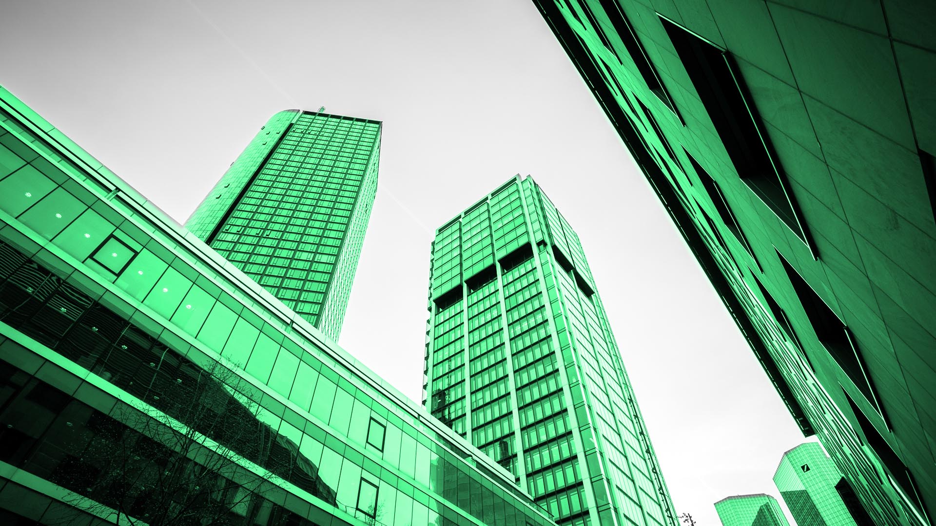 CLICD International – Problem Gambling Support